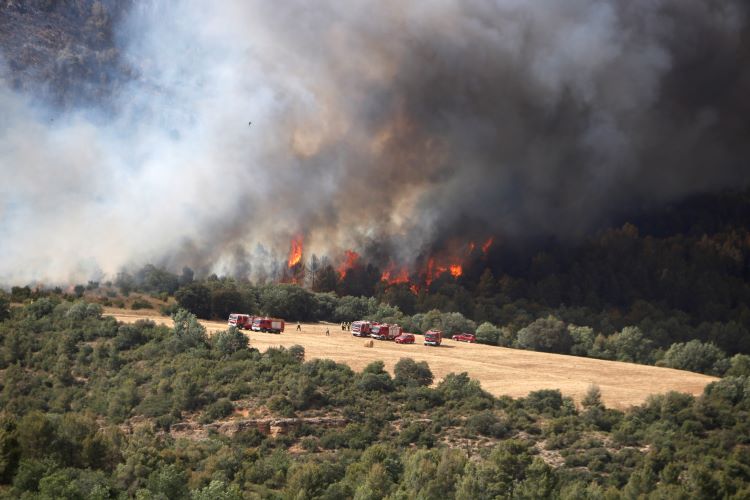 Firefighters working to put out the fire in Baldomar, near Artesa de Segre in western Catalonia, on June 15, 2022 (by Oriol Bosch)